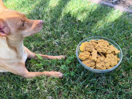 Carrot & Apple Cookies.