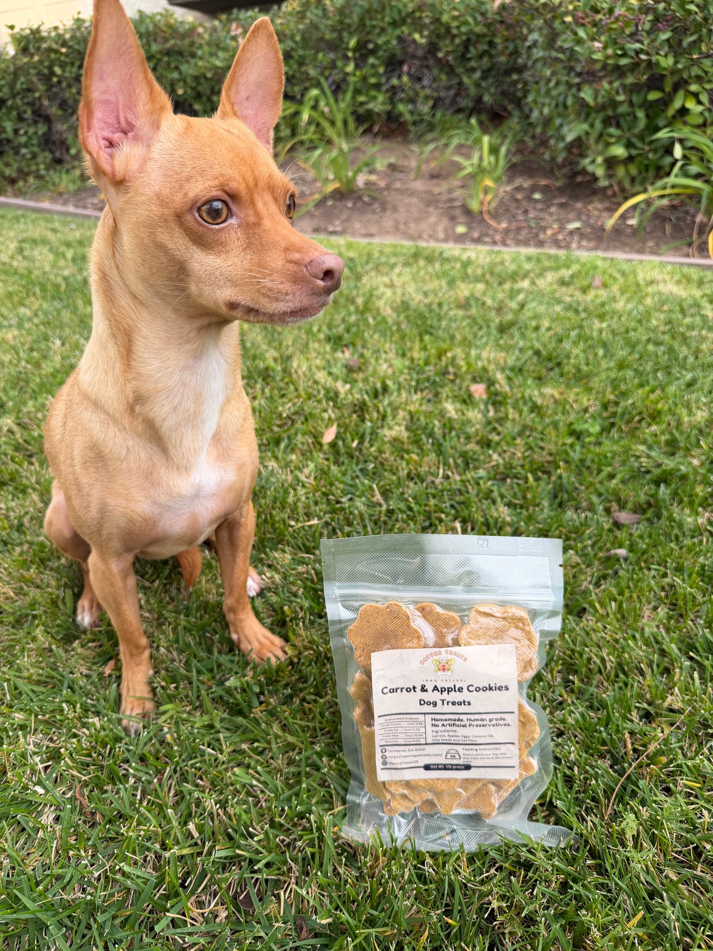 Carrot & Apple Cookies.