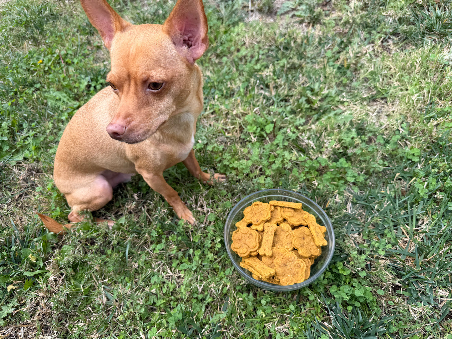 Sweet Potato Cookies.