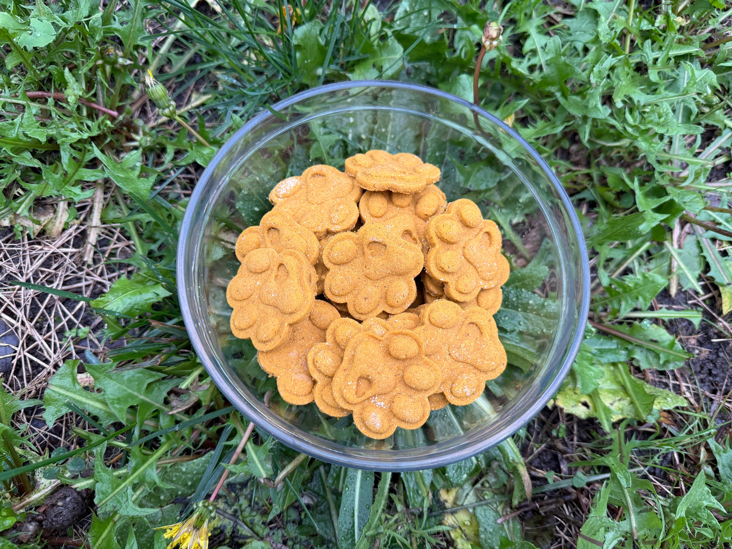 Chicken & Pumpkin Cookies