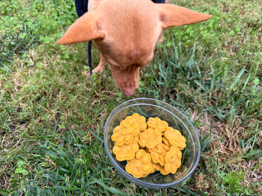Chicken & Pumpkin Cookies