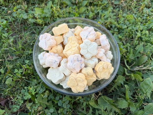 Freeze Dried Yogurt Bites