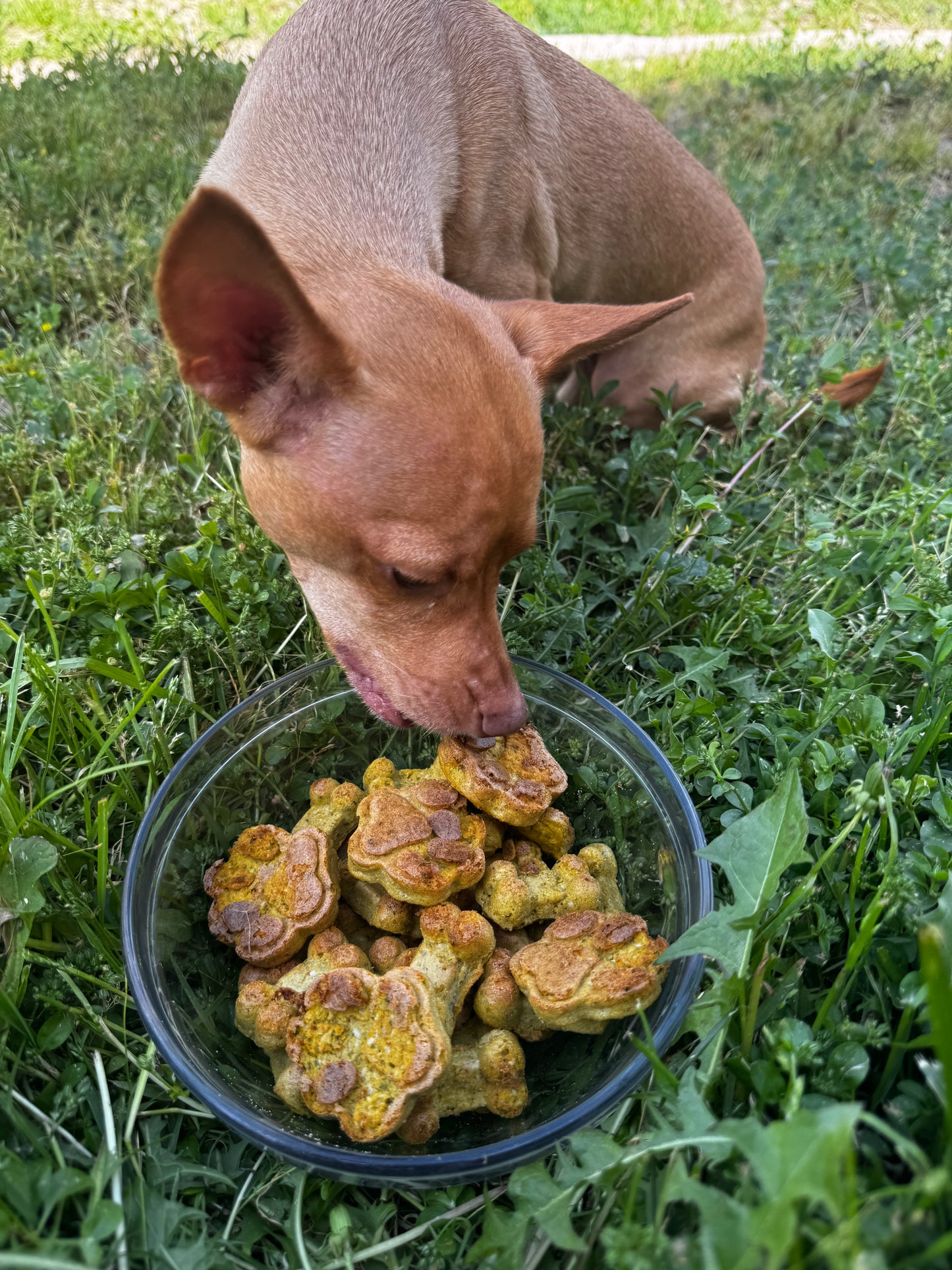 Turkey Bites.
