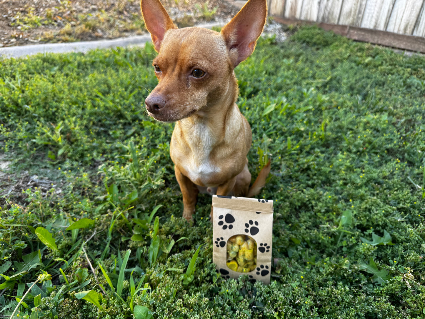 Probiotic Gummies