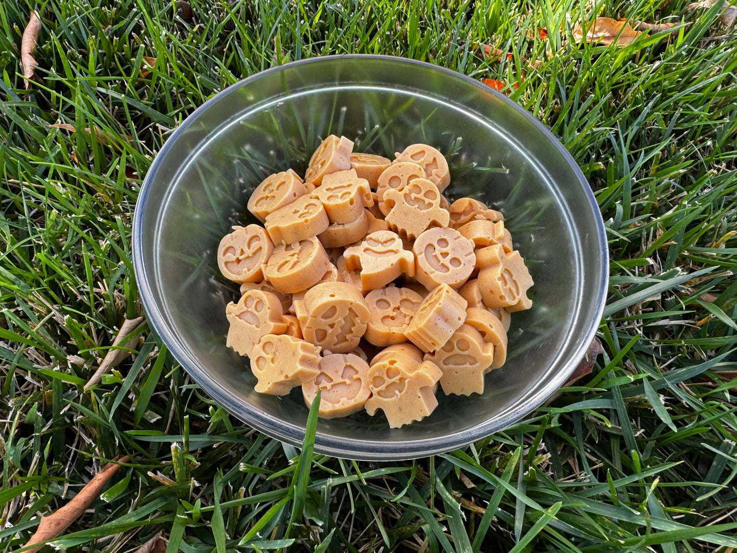 Probiotic Gummies