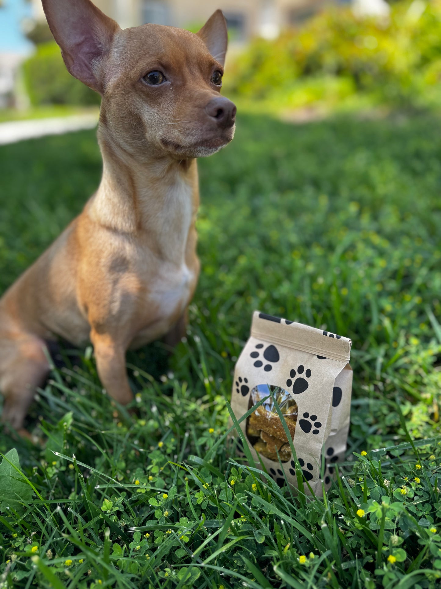 Turkey Bites.